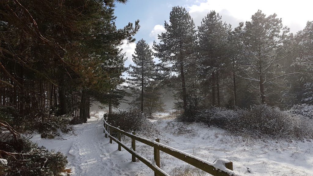 112 Holkham_gap_in_snow_1