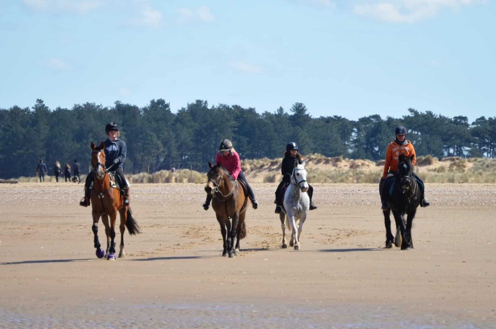 Horse Riding | Holkham National Nature Reserve | Beach | Norfolk