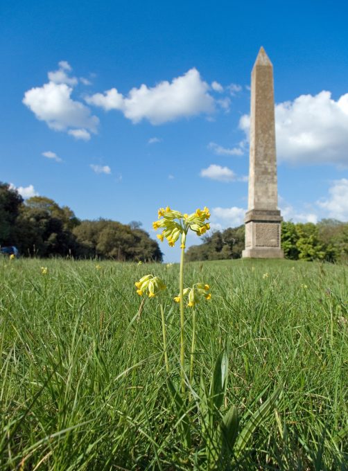 History Of Holkham Hall & Estate | Visiting Holkham | The Earls