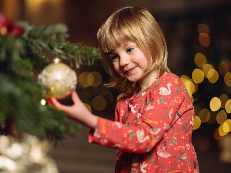 An Audience with Father Christmas - Holkham