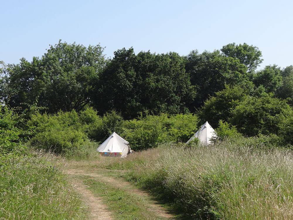 Two tents pop out from bushes and trees at Norfolk Brickyard