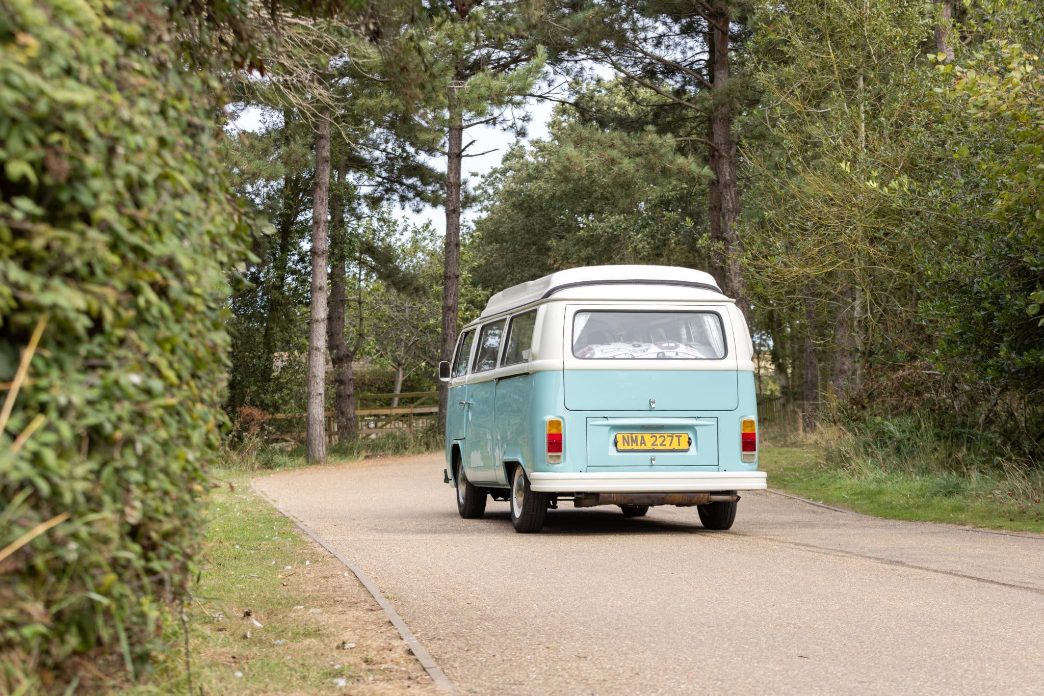 A blue and white vintage VW campervan drives between pine trees.