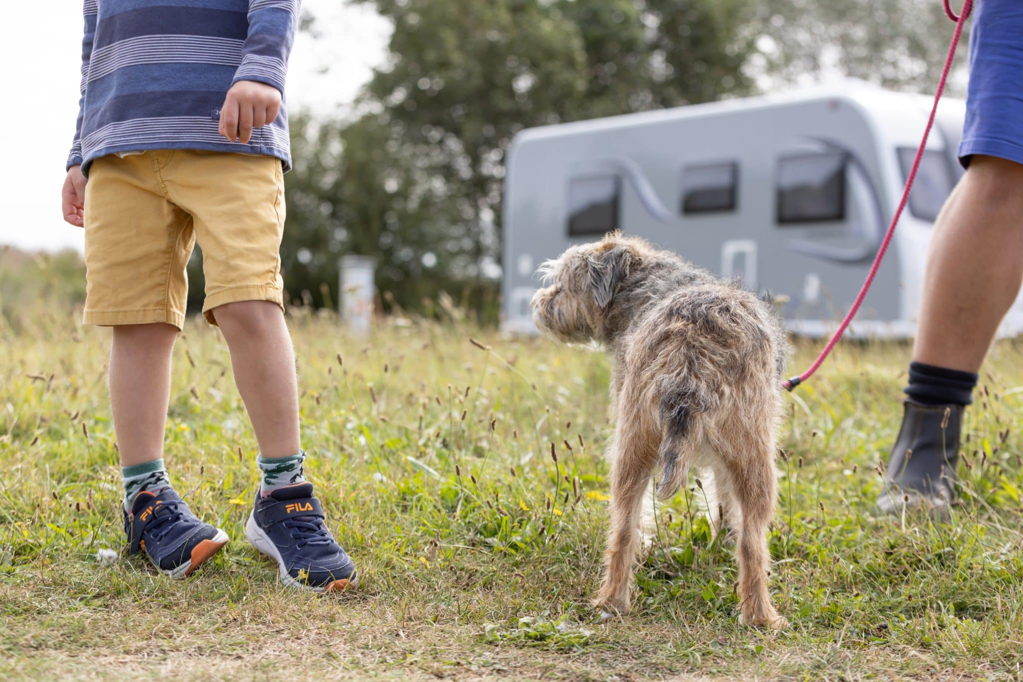 Two boy's legs in shorts, with a Border Terrier dog on a lead. In the background is a caravan.